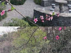 -重庆彩云湖湿地公园