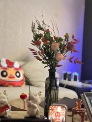 -丽妍雅集 Rubis SPA