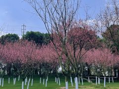 -秀丽东方