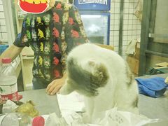 -金太粽(上海弄堂第一粽店)