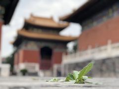 -历代帝王庙博物馆