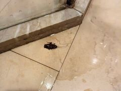 -长沙小天鹅戴斯酒店