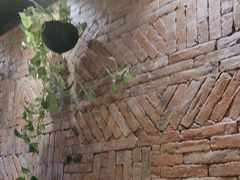 -金掌勺东北菜(格兰晴天店)