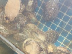 -77号渔船·蒸海鲜青岛菜(积米崖店)