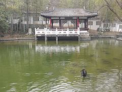 -求雨山文化公园