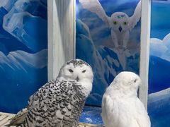 -成都浩海立方海洋公园