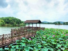 -上海市保健医疗中心(华东疗养院)