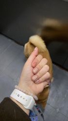-安娜美甲美睫沙龙