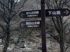 -阳台山自然风景区