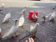 -南昌动物园