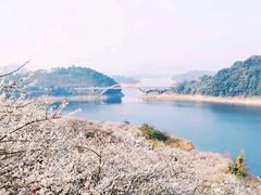-广州市流溪河国家森林公园