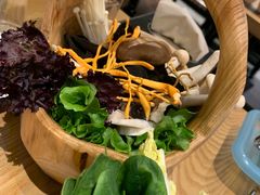 -掂档潮汕牛肉火锅(沈阳万象城店)
