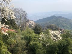 -莫干山风景区
