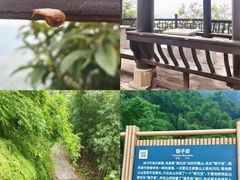 -沐川竹海旅游景区