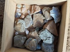 -房山世界地质公园博物馆