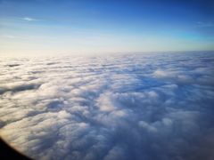 -千岛蚝高压锅生蚝·人参火锅(白云万达店)