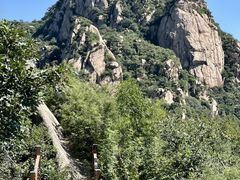 -大岭沟猕猴桃谷风景区