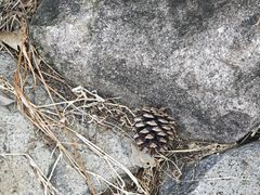 -白塘生态植物园