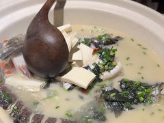 -老傅家湘潭水煮活鱼店(众一国际店)