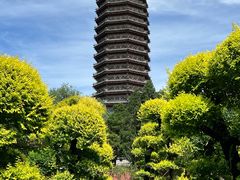 -西海子公园
