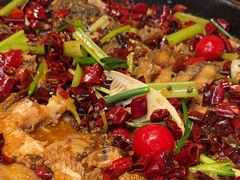 -老板恋上鱼(恒隆广场店)