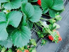 -任达丞国农庄(任达山庄店)