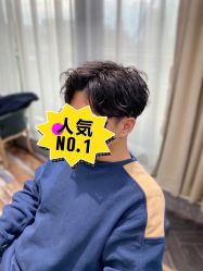 -IDOL-PLUS