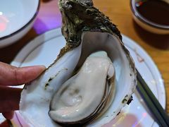 -土蚝·高压锅生蚝(百姓美食街店)