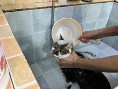 -宠颐生汉谟拉比宠物医院