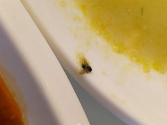 -洪湖家庭农场·团建·露营·会议