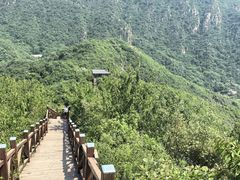 -大岭沟猕猴桃谷风景区