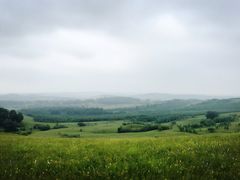 -塞罕坝国家级自然保护区