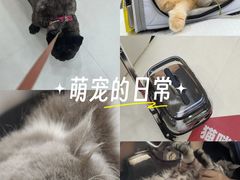 -御宝贝24h宠物医院·转诊中心·CT核磁血透中心(厦门总院)