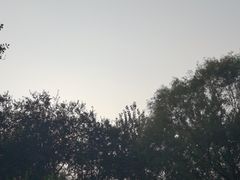 -北坞公园
