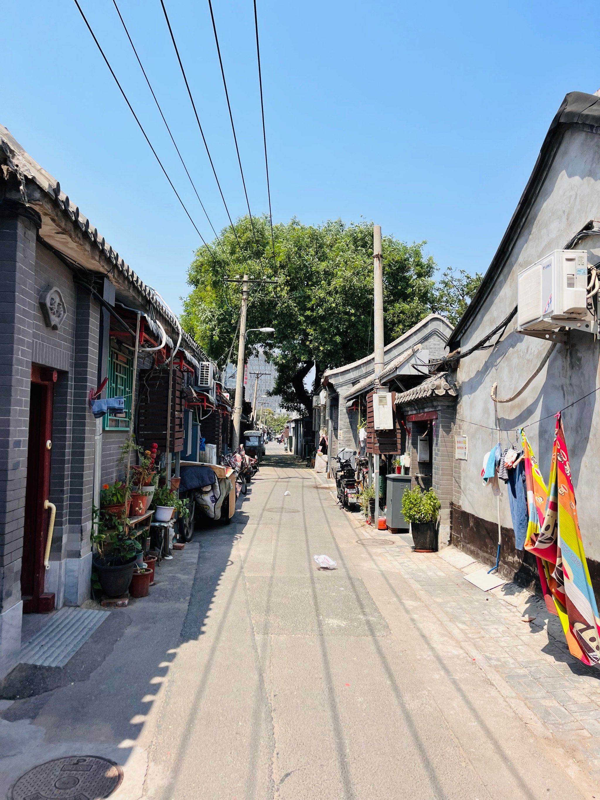 北京胡同漫游记🚴