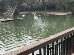 -上海野生动物园