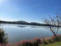-羊山湖公园