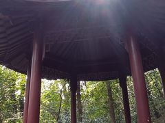 -上海佘山国家森林公园西佘山园