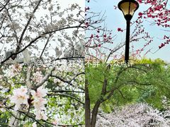 -堤角公园