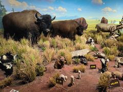 -陕西自然博物馆