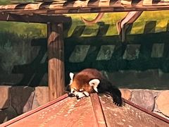 -绿色星球动物主题公园
