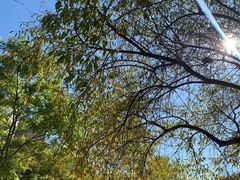 -小四川快餐店(沈师店)