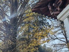 -径山寺