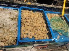 -真味海鲜坊