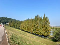 -南京市无想山景区