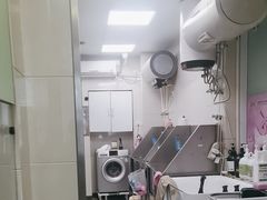 -北京观赏动物医院·24小时大型综合·猫专科·异宠专科