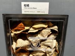 -四川大学博物馆