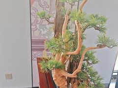 -顺峰(农展馆店)
