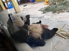 -杭州野生动物世界