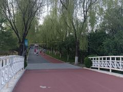 -大兴滨河森林公园